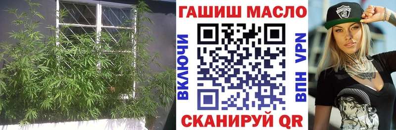 ТГК Wax  Купить где  Алексин 