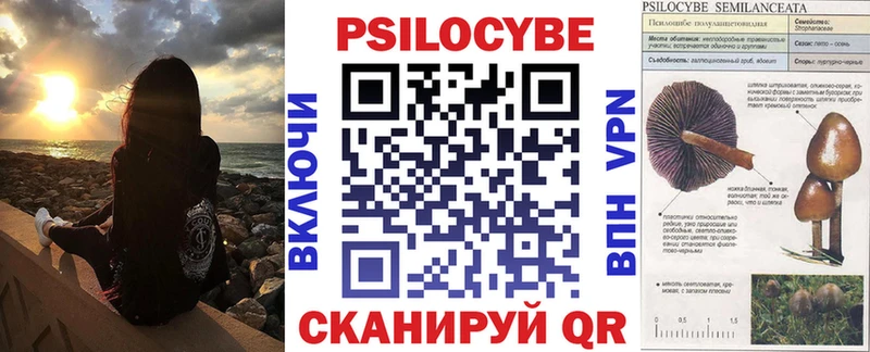 Купить закладки  Алексин  Галлюциногенные грибы Cubensis 